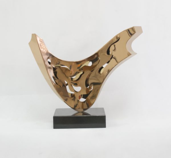 SONY DSC Flower in Fog