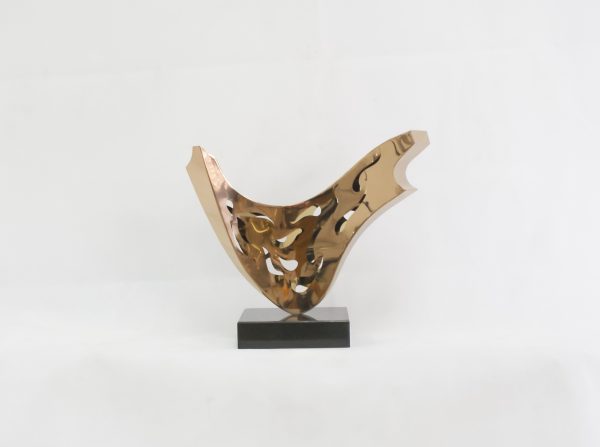 SONY DSC Flower in Fog