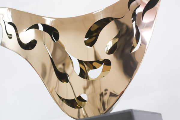 SONY DSC Flower in Fog