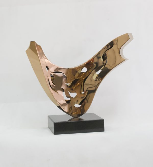 SONY DSC Flower in Fog