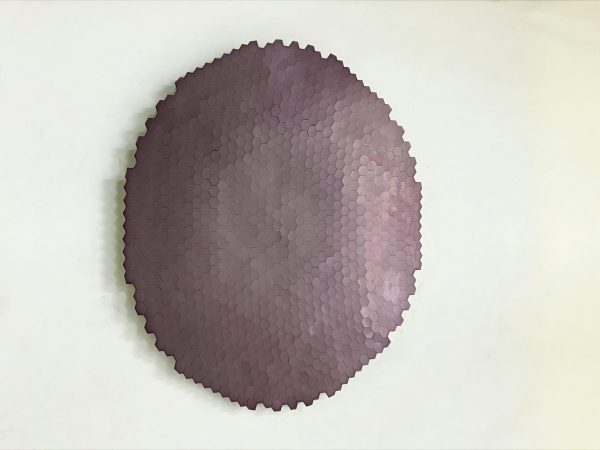 IMG_0245 Dazzle-2-Iregular-RB