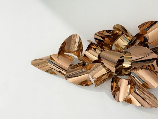 IMG_3886 Fingertip-3