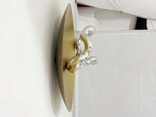 IMG_4518 Accretion Disk of Light