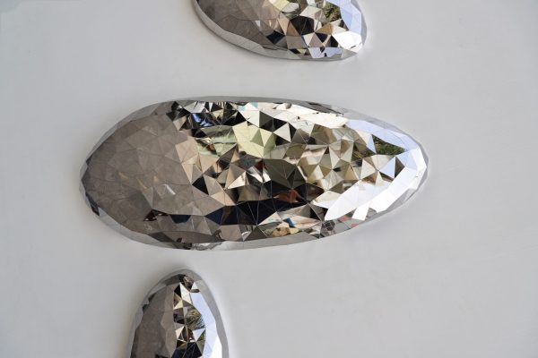 IMG_8463 Dazzle-Star