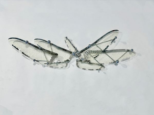 IMG_9194 Wings of Freedom