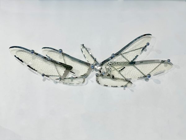 IMG_9195 Wings of Freedom