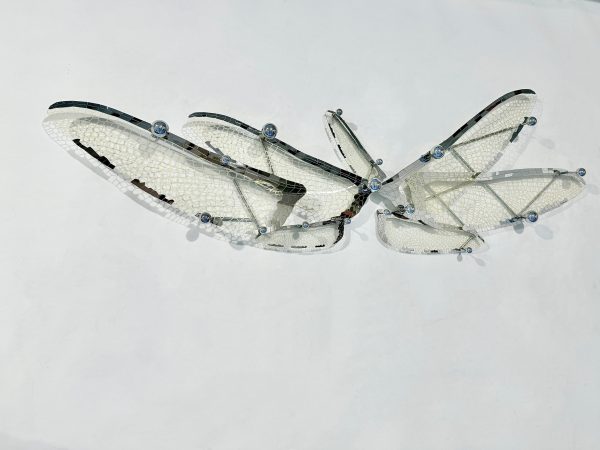 IMG_9196 Wings of Freedom