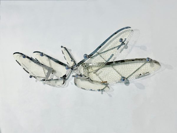 IMG_9197 Wings of Freedom