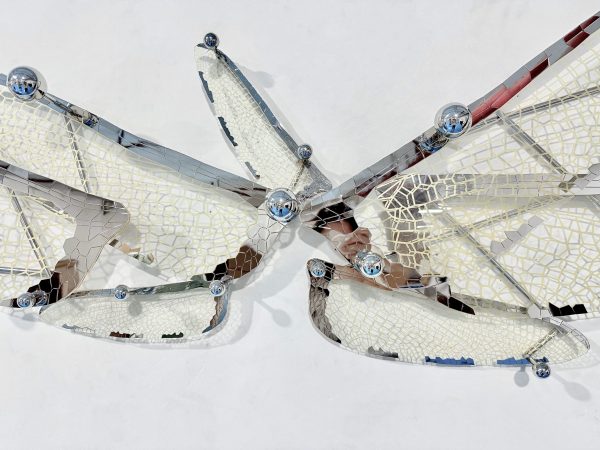 IMG_9199 Wings of Freedom