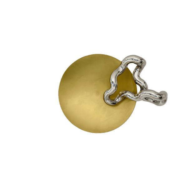 Accretion Disk of Light